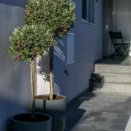 Casa Anastasia Pastida