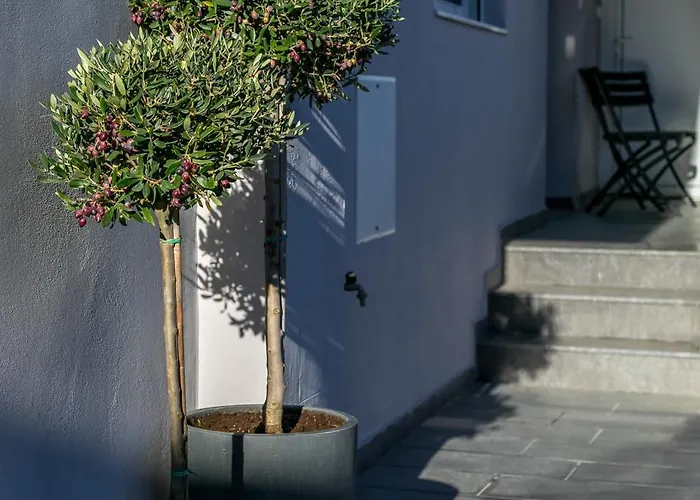 Casa Anastasia 파스티다